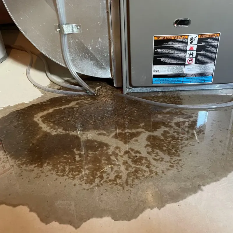 Pipe Burst and Leak Restoration in Saratoga County, NY